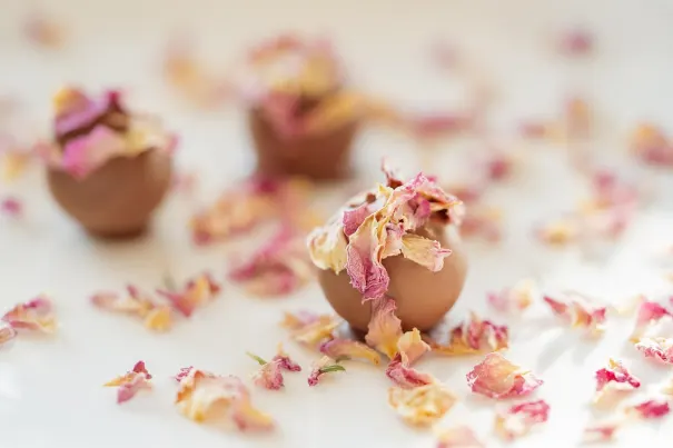 Casino Bella Vegas Application Android/iOS